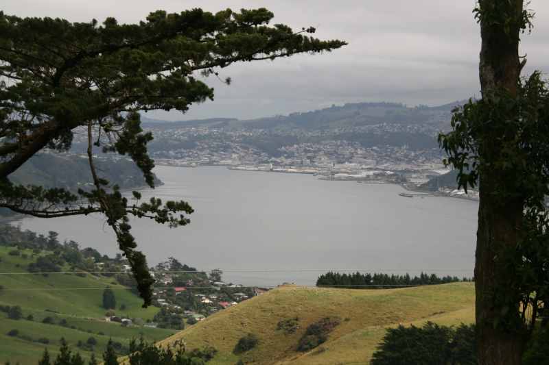 Nieuw-Zeeland 2011 - 1906